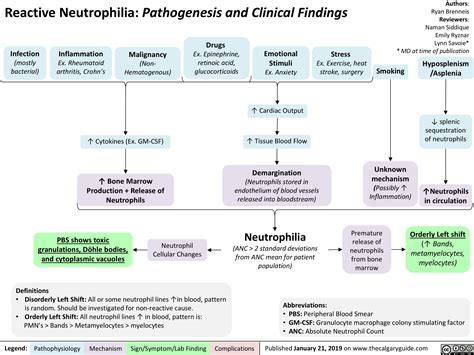 Reactive Neutrophilia Pathogenesis And Clinical Findings Calgary Guide