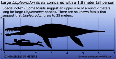 Dot displays can thus reproduce a wide range of colors with improved accuracy, as the size of the particles can vary from 2 to 10 nanometers. Image - Liopleurodon-size.jpg | Fossils and Archeology Mod ...