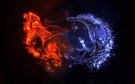 Free Download Wolves Fire And Ice Yin And Yang Yin And Yang Pinterest