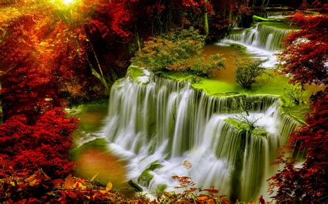 Wallpaper Id 596283 Forest Cascade Pc Leaves Autumn Red Phones