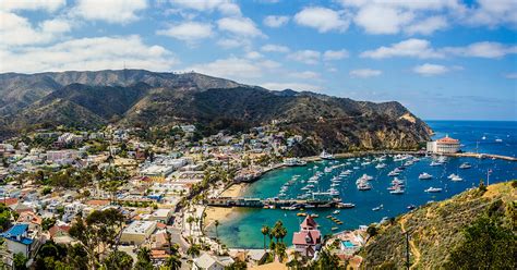 23 Fun Things To Do On Catalina Island Ca Attractions And Activities