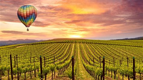 24 Top Rated Napa Valley Wineries To Visit