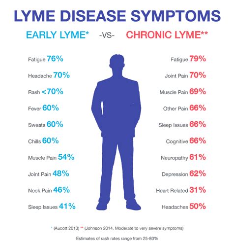 Lyme Disease Diagnosis And Treatment Igenex