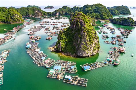 Aerial View Of A Floating Fishing Village In Vietnam Southeast Asia