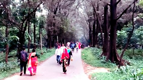 beautiful national botanical garden with beautiful visitors mirpur dhaka youtube