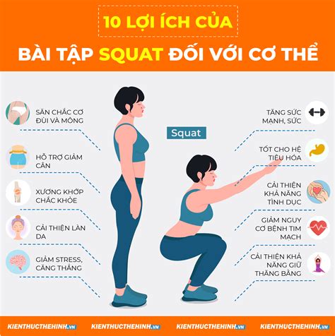 Squat Là Gì Hướng Dẫn Tập Squat đúng Cách Cho Người Mới Bắt đầu