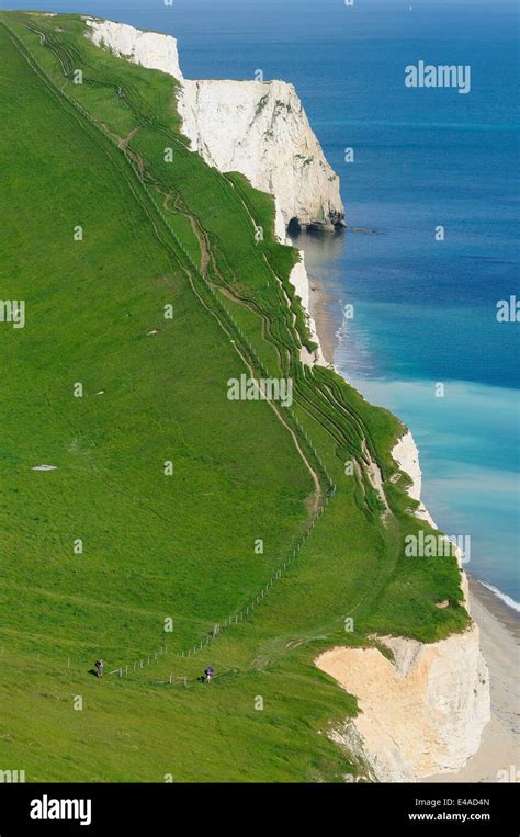 Coast Path Near Bats Head Dorset Jurassic Coast Stock Photo Alamy