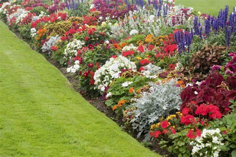 10 Simple Tips For A Picture Perfect Landscape Kellogg Garden Products