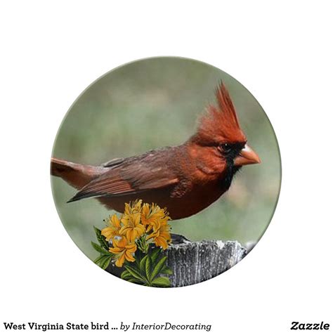 West Virginia State Flower And Bird Sign Chronicle Stills Gallery