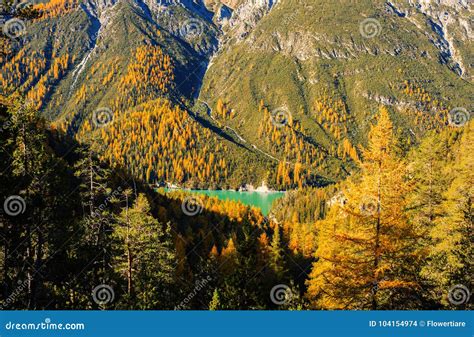 Landscape Of The Swiss Alps And Forest Of National Parc In Switzerland