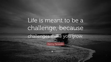 Manny Pacquiao Quote Life Is Meant To Be A Challenge