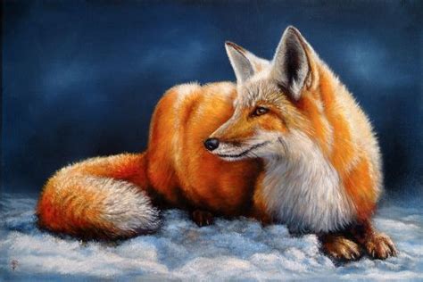 Red Fox By Dimwolf Fox Artwork Fox Fox Art