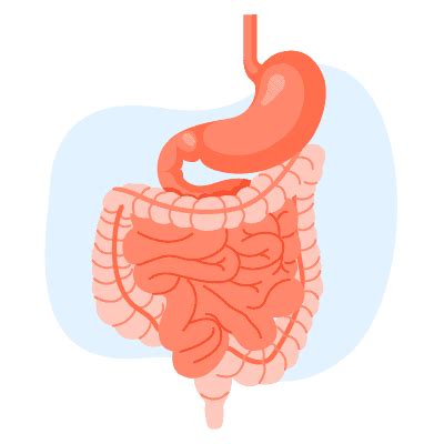 G em engkau yang sedang patah hati am d menangislah dan jangan ragu ungkapkan bm em betapa pedih hati yang tersakiti. What Meaning Pedih Ulu Hati : Pedih ulu hati atau dalam ...