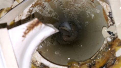 Lightning Strikes Causes Toilet To Explode Like A Missile In Florida Home