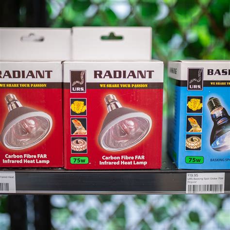 Animal Kingdom Australia