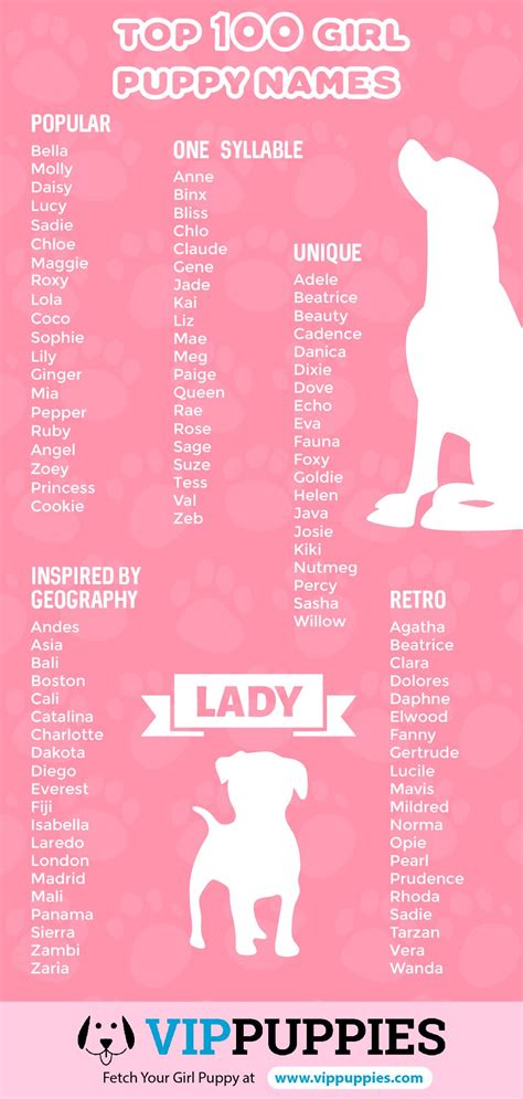 Top Girl Puppy Names Infographic Cute Animal Names Cute Names For
