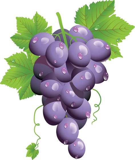 Grapes Png Image For Free Download