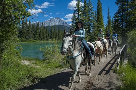 Banff Horseback Riding Tour Bow River Ride