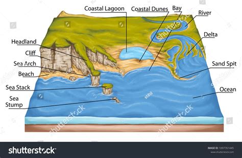 Types Of Continental Landform Coastal Landforms Coastal Geography