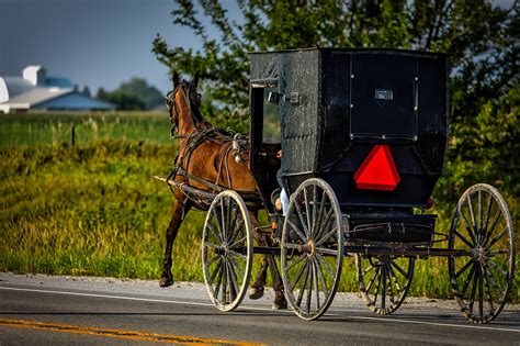 Amish In Den Usa Geschichte Und Bräuchte Der Amischen