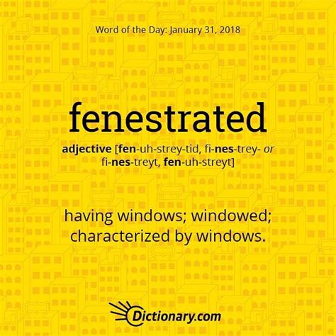 Todays Word Of The Day Is Fenestrated Wordoftheday Language