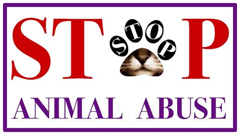 Stop Animal Abuse A True Story No Al Maltrato Animal Youtube