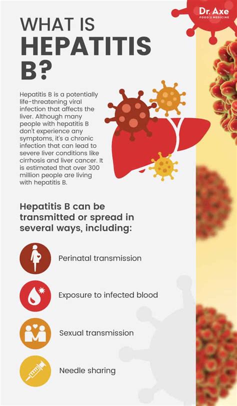 Hepatitis B Causes Symptoms And Natural Treatments Dr Axe
