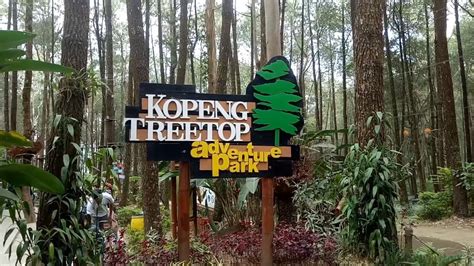 Objek Wisata Di Tn Gunung Merbabu Ditutup Sementara Mounture