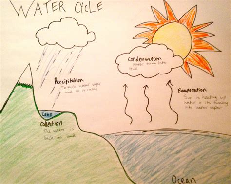 Water Cycle Drawing Assignment At Explore