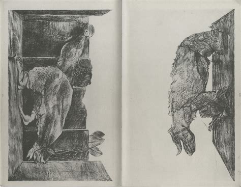 D Natural History Book By Max Ernst