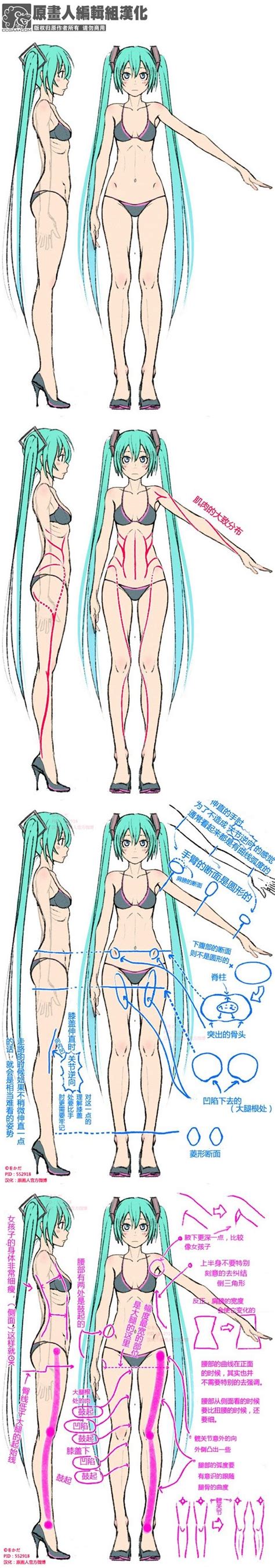 Ontologic modeling of the biceps brachii anime muscle drawings interior. 410 best images about Reference Model Sheets on Pinterest | Models, Cartoon and Make new friends