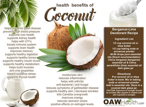 Best Health Benefits of Coconut - OAWHealth