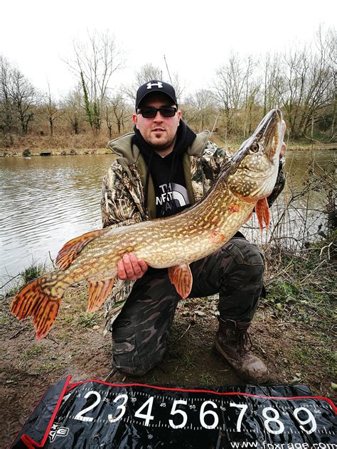 Explore cardiff's sunrise and sunset, moonrise and moonset. Stunning 22lb pike from a pond in South Wales UK! : Fishing