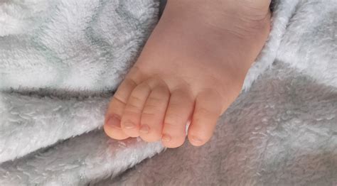 Baby Foot Free Stock Photo Freeimages