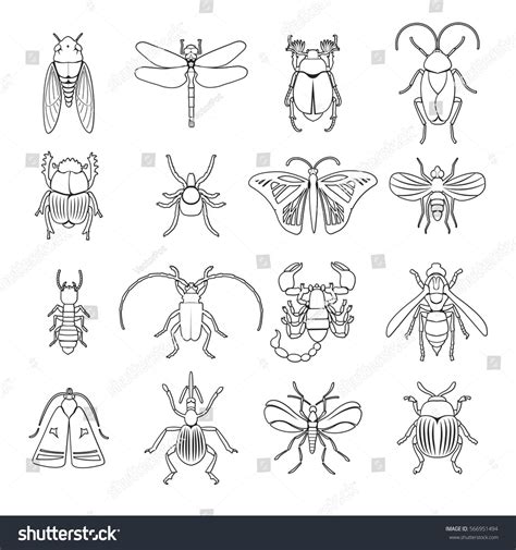 Outline Insects Icons Set With Different Kinds Of Creatures On White
