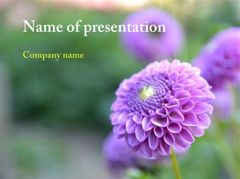 Powerpoint Templates And Backgrounds Purple Flower Powerpoint Template