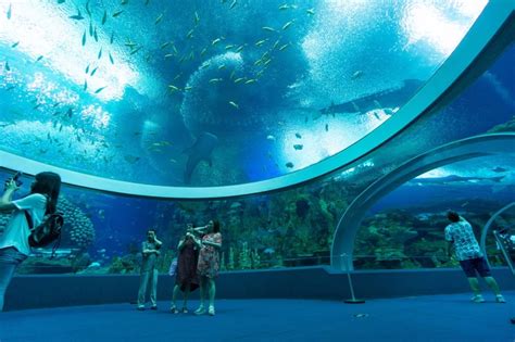10 Of The Best Aquariums In The World For Your Bucket List