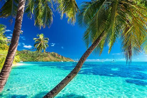 The Best Things To Do In Moorea Tahiti In French Polynesia