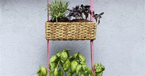 Beautiful Hanging Basket Garden Diy