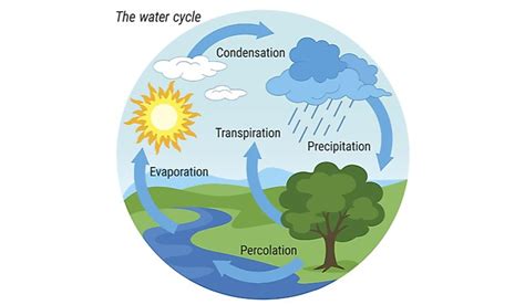 What Is The Hydrologic Cycle Worldatlas