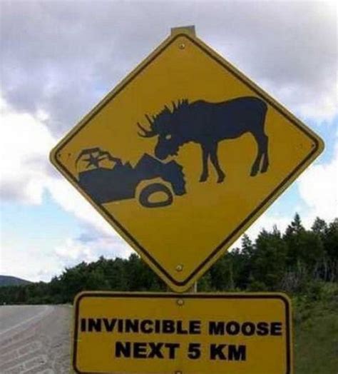 Can You Believe That These 10 Crazy Road Signs Actually Exist Quizai