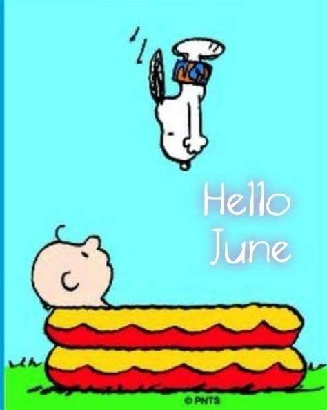 Pin By Susan Stewart 🌼 On Snoopy Seasons N Events Snoopy Funny Hello