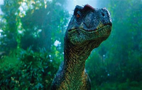 Jurassic Park Movie Velociraptor Jurassic Park Jurassic Park 1993