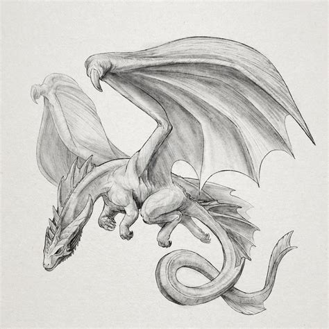 A Flying Dragon Dragon Sketch Pencil Drawings Of Animals Easy