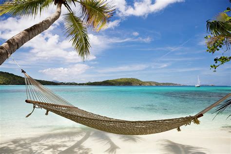 Hammock Between Palm Trees On Untouched Photograph By Cdwheatley Fine