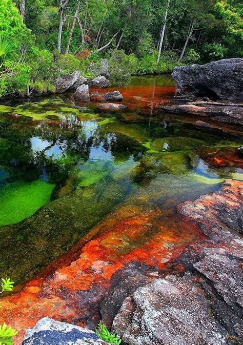 Cano Cristales River In Columbia All Nature Amazing Nature Rainbow