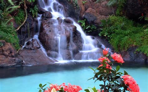 10 Best Waterfall And Flowers Wallpaper Full Hd 1080p For Pc Desktop 2023