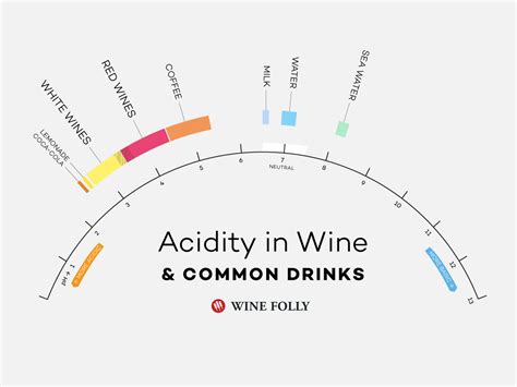 Understanding Acidity In Wine Wine Folly