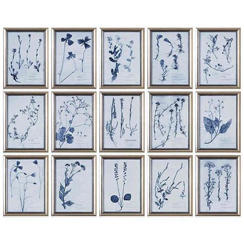 Uttermost Dried Flowers Floral Art Set Of 15 With Images Framed