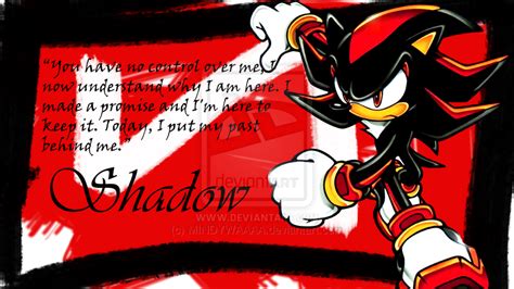 Sonic's rival in the gaming industry used to be mario, but now they are seen as friendly competitors ever since sega became third party and started releasing sonic games for nintendo systems. Shadow The Hedgehog Quotes. QuotesGram